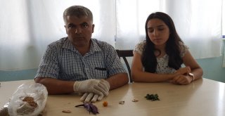 Doğru Beslenmeyle İnsan Ömrünün 175 Yıla Uzayabileceği İddiası