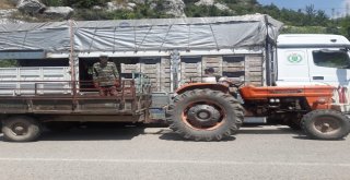 Pazarcı, Şeftalide Aracıyı Aradan Çıkardı