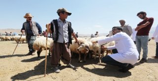 Vanda Kurban Sağlık Timi İş Başında