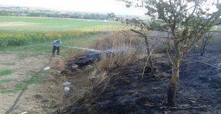 Tekirdağda Piknik Alanında 100 Çam Kül Oldu