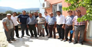 Serinhisarda 13 Kişiye Kurban Kesim Kursu Verildi