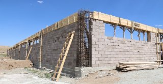 Modern Ahır Projeleri Yükselmeye Devam Ediyor