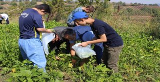 (Özel Haber) Sevgi Evlerinde Kalan Engelli Çocukların Hasat Vakti