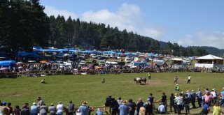Asırlık Festival Renkli Görüntülere Sahne Oldu