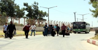 44 Bin Suriyeli Türkiyeye Döndü