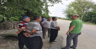 Kozan İlçe Tarım Müdürlüğünden Akdeniz Sineği İle Mücadele