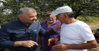 Başkan Çelik, Her Alanda Büyük Bir Gayretle Çalışıyoruz