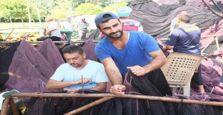 (Özel) Balıkçıların 147 Günlük Yasağında Son Gün