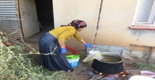 (Özel) Beytüşşebapta Erik Hasadı Başladı