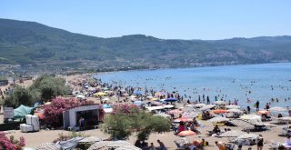 Temiz Deniz İçin Seferberlik
