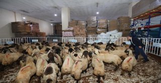 Kurban Bayramında 200 Yetimin Yüzü Güldü