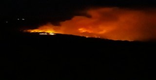 Hataydaki Orman Yangını Yerleşim Bölgesini Tehdit Ediyor