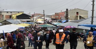 Teröre İnat Binlerce Kişi 173.güvende Yayla Şenliğinde Buluştu
