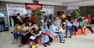 Yenimek, 110 Branşta Eğitim Verecek