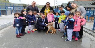 Çocuklar Hayvanları Koruma Gününde Sahipsiz Hayvanları Unutmadı