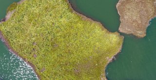 Bu Adacıklar Yerinde Durmuyor