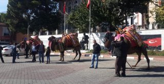 Buldanda Develer Dualarla Havut Kuşandı