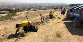 Cizre Caferi Sadık Tepesinde Temizlik Çalışması Yapıldı