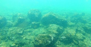 Van Gölünün Altında Yaşam Belirtileri