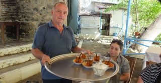 Kazdağı Kekiği Şifa Kaynağı