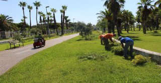 BÜYÜKŞEHİR'DEN MANAVGAT'TA YEŞİL ALANLARA BAKIM