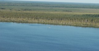 Pilot, Mantar Toplamaya Uçağıyla Gitti, Uçağı Göle Düştü