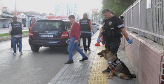 Bafra Didik Didik Arandı
