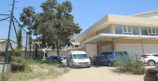 Turizmci Evinde Ölü Bulundu