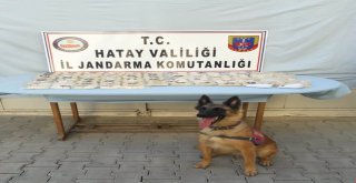 Hatayda Uyuşturucu Hap Operasyonu: 4 Gözaltı