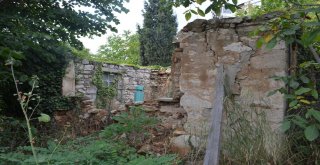 Yesari Baba Türbesindeki Bakımsızlık Tepki Çekiyor