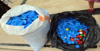 Minik Eliften Örnek Davranış