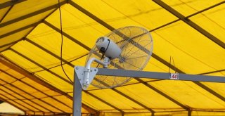 Eyüpsultanda Kurbanlıklara Özel Soğutma Sistemi