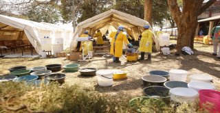 Zimbabwede Koleradan Ölenlerin Sayısı 30A Yükseldi