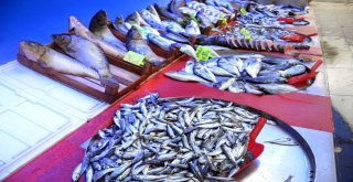 Yasak Bitti, Bilecikte Balık Tezgahları Şenlendi