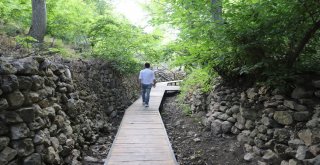 Savura Yürüyüş Yolu