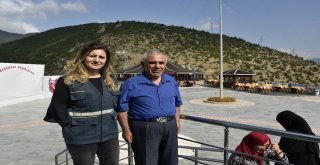 Cam Seyir Terasına Kır Lokantası Yapılacak, Yolu Ağaçlandırılacak