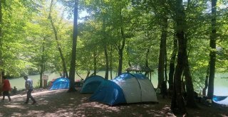 Bayram Tatilinde Binlerce Kişi Boludaki Tabiat Parklarına Akın Etti