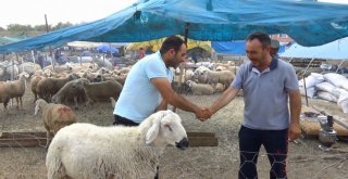 Kırıkkalede Kurban Pazarı Hareketlendi