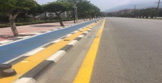 Bisiklet Yolunun Aydınlatmalarına Zarar Verdiler