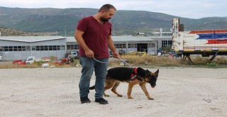 Hırsızlardan Kurtulup 112Ye Sığınmış