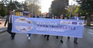 Müdürler Bu Sefer İşe Makam Araçları İle Değil Bisikletle Gittiler