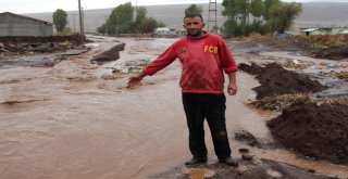 Güroymakta Aşırı Yağışlar Sele Neden Oldu