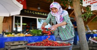 Ucuz Ve Taze Gıdanın Adresi Üretici Pazarı