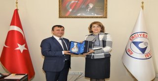 Azerbaycan Büyükelçiliği Eğitim Müşaviri Nesibova, Rektör Çalışı Ziyaret Etti
