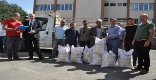 Erzurumda Çiftçilere Tohum Desteği