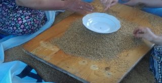 Bulgur Kaynatma Sezonu Başladı