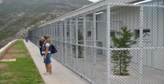 Hayvan Bakımevi Ve Rehabilitasyon Merkezi Açıldı