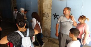 Sincabı, Kedisi, Güvercini Bir Arada Yaşıyor