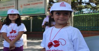 Çocuklar Kırmızı Düdükle Trafik Polisi Oldu