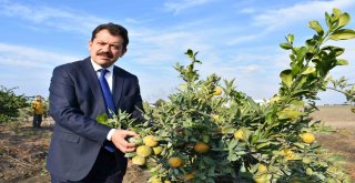 Başsavcısı Yeldana Veda